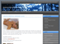 remedialmassageforhealth.com