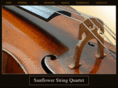 sunflowerstringquartet.com