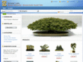 bonsai-suiseki.de