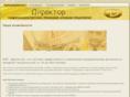 erp-director.com