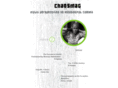 chaosmag.in