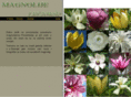 magnolije.com