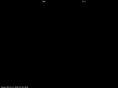 moon-blossom.com
