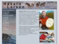 havard-larsen.com