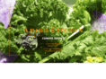 amigo-kitchen.com