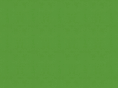 exporsal.com
