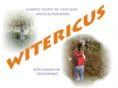 witericus.com