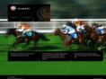 hedging.ru