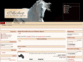 ollashop.nl