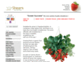shears.co.uk