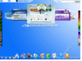 dnnskin.net
