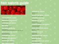 salons818.com