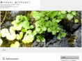 manual-alphabet.com
