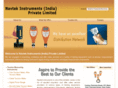 navtekinstruments.net