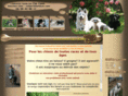 cap-canin.com