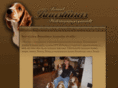 ruustiinas.com