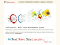 siteexecutivo.com