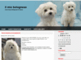 ilmiobolognese.com
