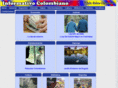 infocolombiano.com