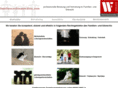 familienrechtsanwaeltin.com