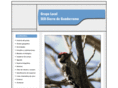 seosierradeguadarrama.org