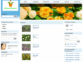 ruivaplantas.com
