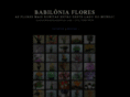 babiloniaflores.com