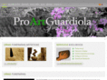 proartguardiola.com