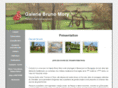galerie-bruno-mory.com