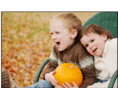 littlelphotography.com