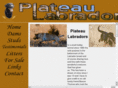plateaulabradors.com