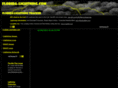 florida-lightning.com