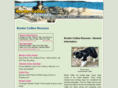 border-collies-rescues.com