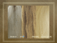 haras-de-my.com