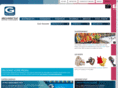 galeriesdelacapitale.com