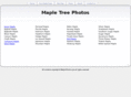 maple-photos.com
