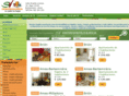 svinmobiliaria.com