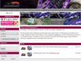d2racingsports.nl