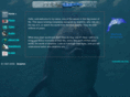 dolphinwave.org