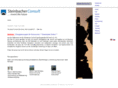 steinbacher-consult.com