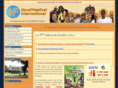 handifestival.com
