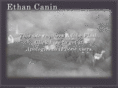ethancanin.com
