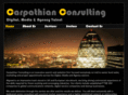 carpathianconsulting.com