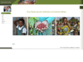 danils-in-afrika.com