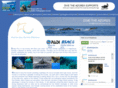 divetheazores.com