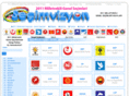 secimvizyon.com