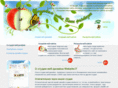 website-it.ru