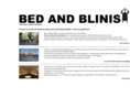 bedandblinis.com