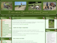 ffslc-canicross.net
