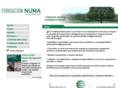 fundacionnuma.com
